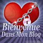 Bienvenue Dans Mon Blog